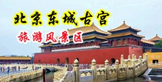 亚洲肛交暴力视频网址中国北京-东城古宫旅游风景区